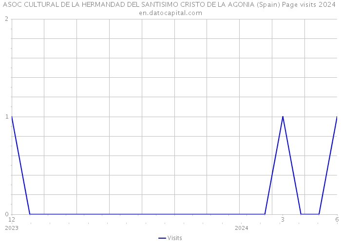 ASOC CULTURAL DE LA HERMANDAD DEL SANTISIMO CRISTO DE LA AGONIA (Spain) Page visits 2024 