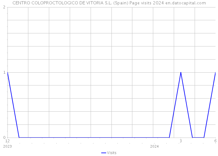 CENTRO COLOPROCTOLOGICO DE VITORIA S.L. (Spain) Page visits 2024 