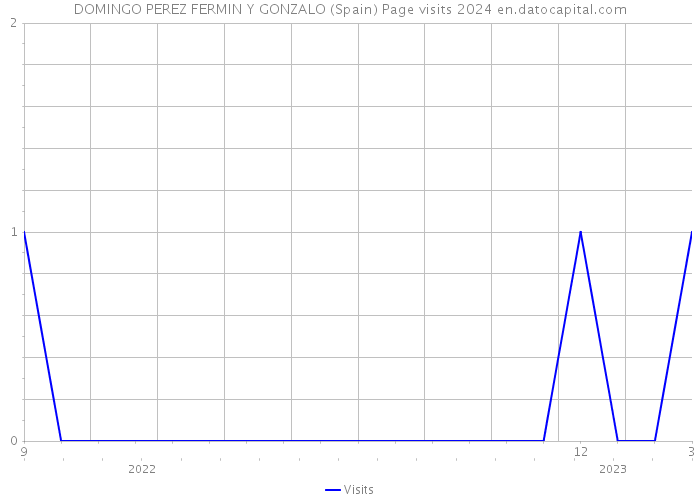 DOMINGO PEREZ FERMIN Y GONZALO (Spain) Page visits 2024 