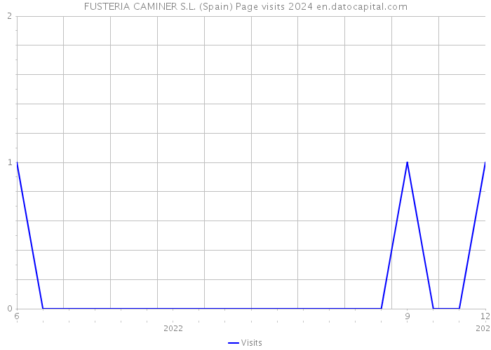 FUSTERIA CAMINER S.L. (Spain) Page visits 2024 