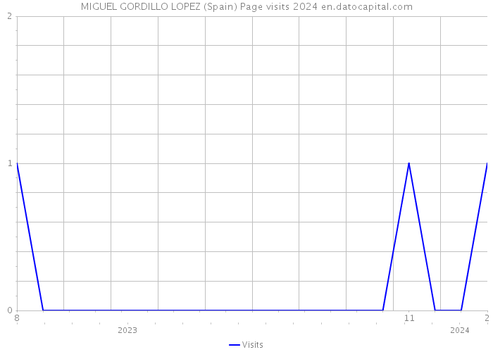 MIGUEL GORDILLO LOPEZ (Spain) Page visits 2024 