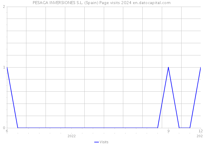 PESAGA INVERSIONES S.L. (Spain) Page visits 2024 