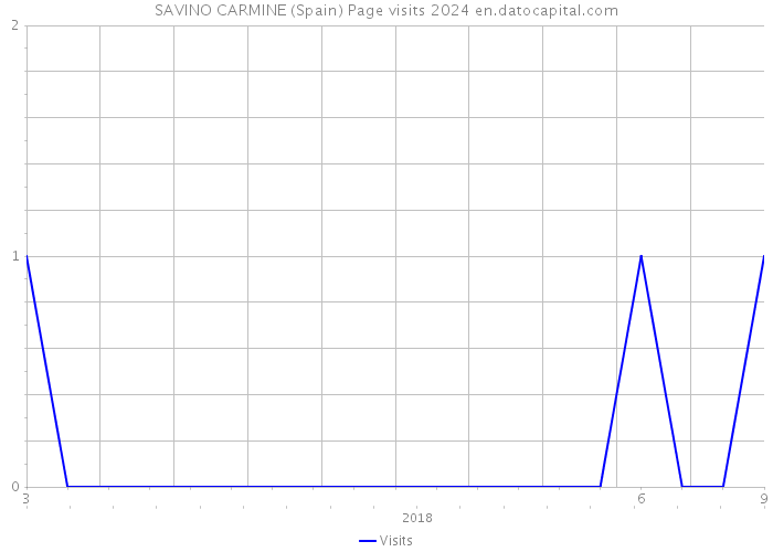 SAVINO CARMINE (Spain) Page visits 2024 