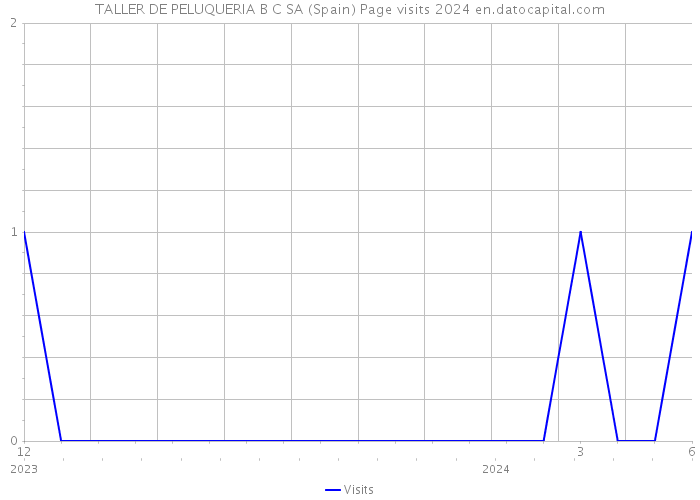 TALLER DE PELUQUERIA B C SA (Spain) Page visits 2024 