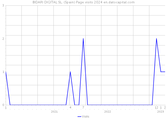 BIDARI DIGITAL SL. (Spain) Page visits 2024 