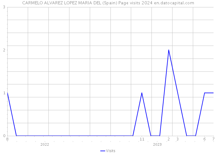 CARMELO ALVAREZ LOPEZ MARIA DEL (Spain) Page visits 2024 