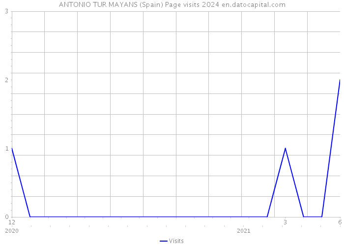 ANTONIO TUR MAYANS (Spain) Page visits 2024 