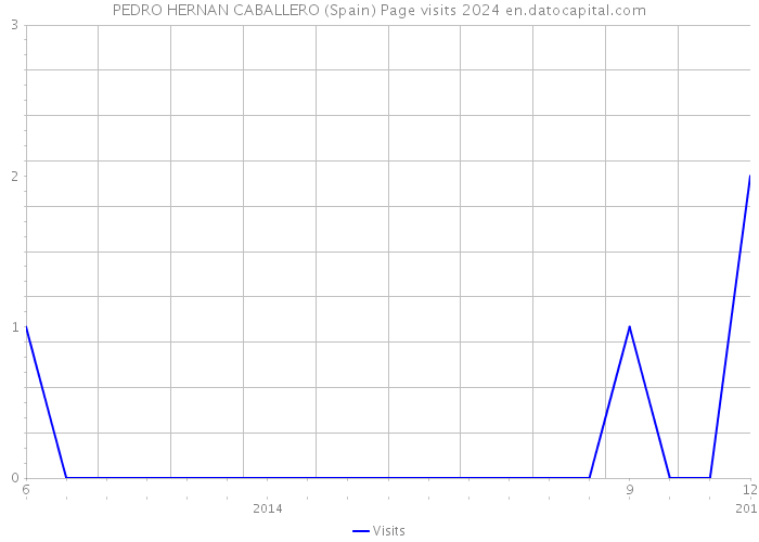 PEDRO HERNAN CABALLERO (Spain) Page visits 2024 