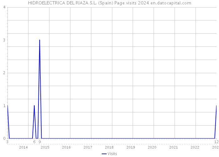 HIDROELECTRICA DEL RIAZA S.L. (Spain) Page visits 2024 
