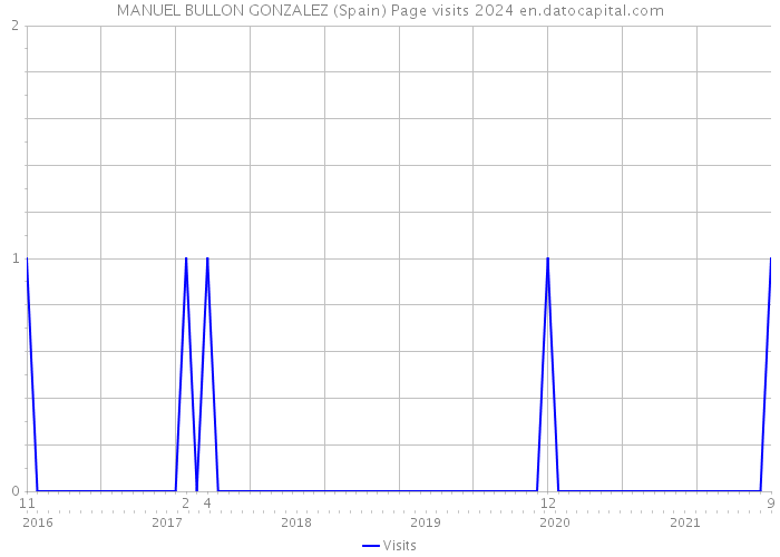 MANUEL BULLON GONZALEZ (Spain) Page visits 2024 
