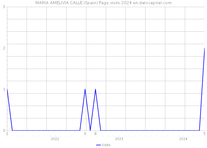 MARIA AMELIVIA CALLE (Spain) Page visits 2024 