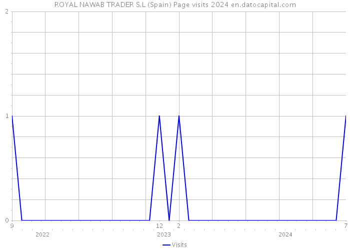 ROYAL NAWAB TRADER S.L (Spain) Page visits 2024 