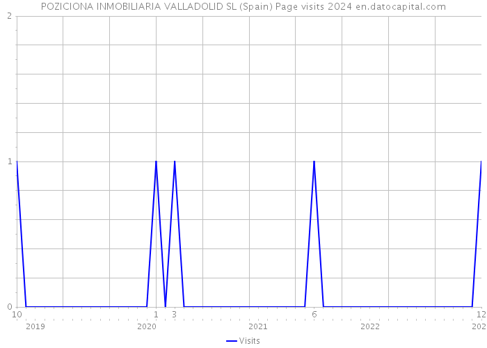 POZICIONA INMOBILIARIA VALLADOLID SL (Spain) Page visits 2024 