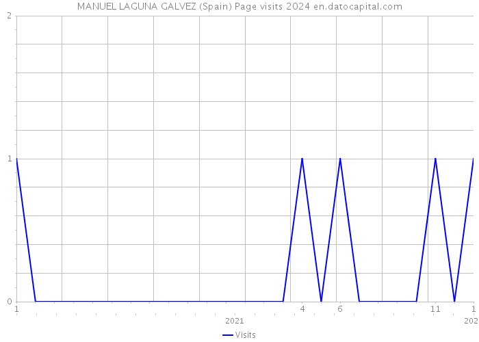 MANUEL LAGUNA GALVEZ (Spain) Page visits 2024 