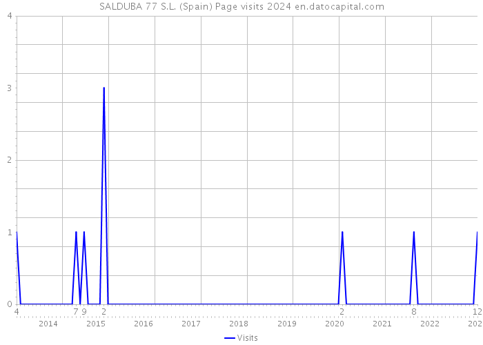 SALDUBA 77 S.L. (Spain) Page visits 2024 