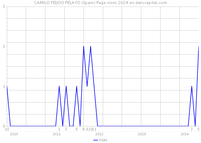 CAMILO FEIJOO PELAYO (Spain) Page visits 2024 