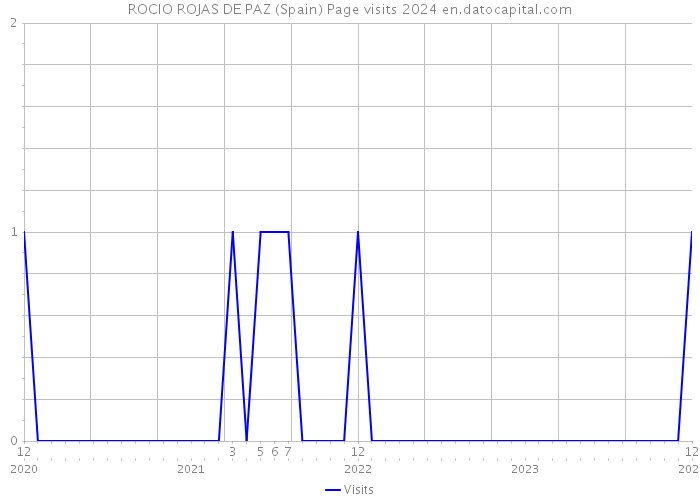 ROCIO ROJAS DE PAZ (Spain) Page visits 2024 