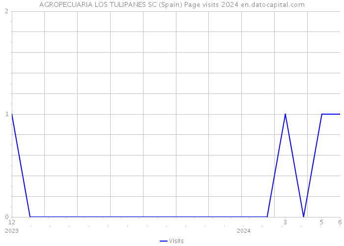 AGROPECUARIA LOS TULIPANES SC (Spain) Page visits 2024 