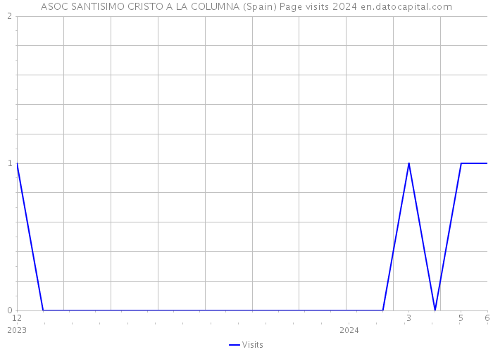 ASOC SANTISIMO CRISTO A LA COLUMNA (Spain) Page visits 2024 