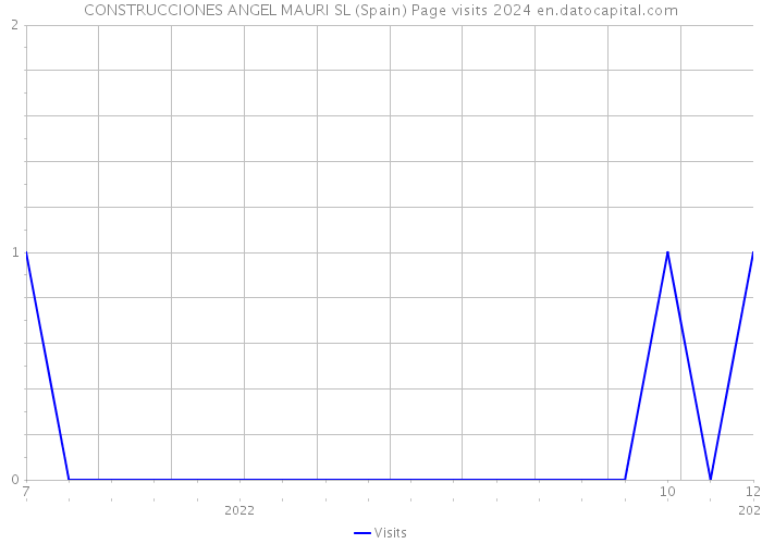 CONSTRUCCIONES ANGEL MAURI SL (Spain) Page visits 2024 