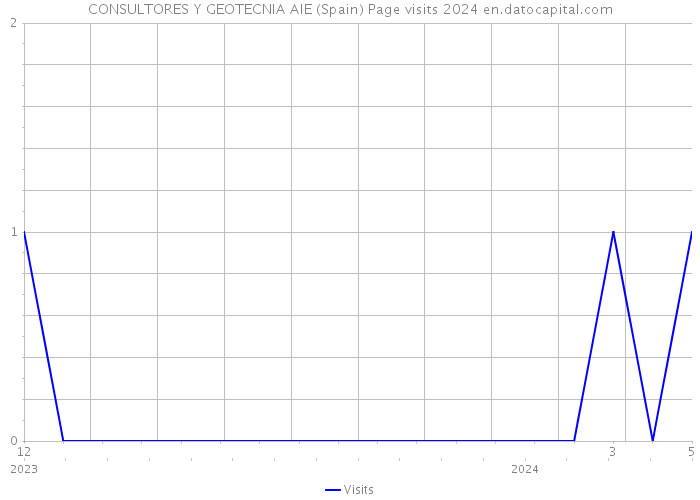CONSULTORES Y GEOTECNIA AIE (Spain) Page visits 2024 