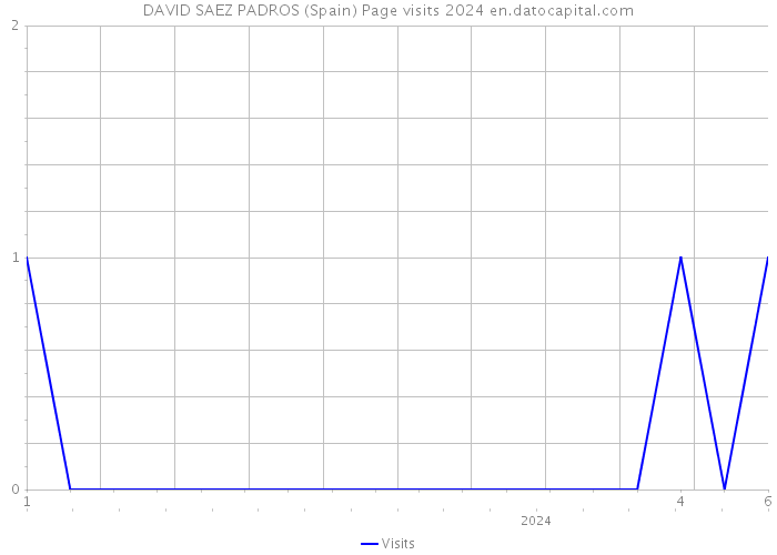 DAVID SAEZ PADROS (Spain) Page visits 2024 