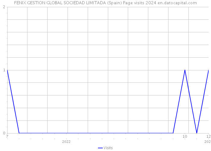 FENIX GESTION GLOBAL SOCIEDAD LIMITADA (Spain) Page visits 2024 