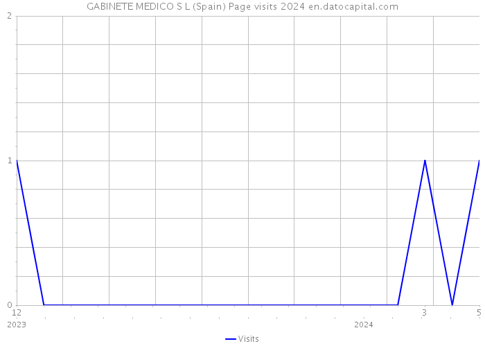 GABINETE MEDICO S L (Spain) Page visits 2024 