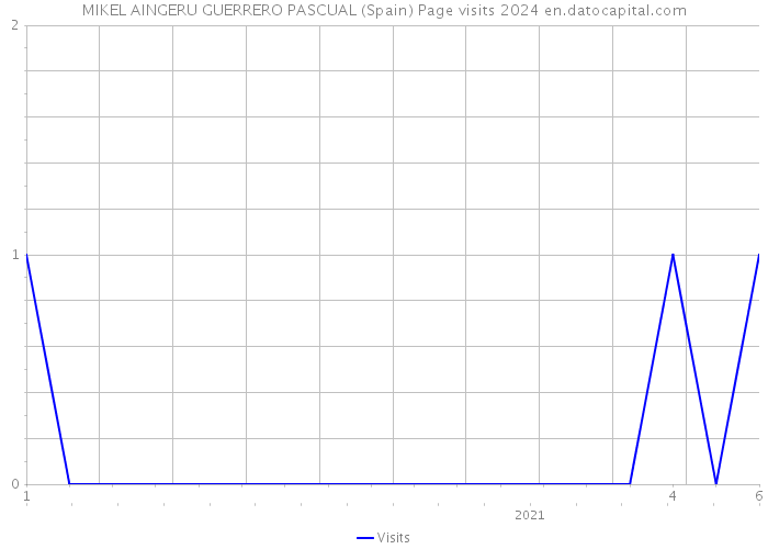 MIKEL AINGERU GUERRERO PASCUAL (Spain) Page visits 2024 
