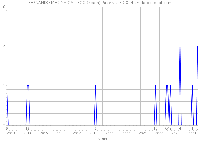 FERNANDO MEDINA GALLEGO (Spain) Page visits 2024 