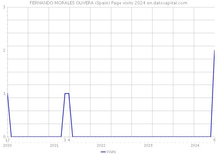 FERNANDO MORALES OLIVERA (Spain) Page visits 2024 