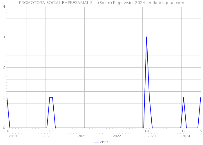 PROMOTORA SOCIAL EMPRESARIAL S.L. (Spain) Page visits 2024 