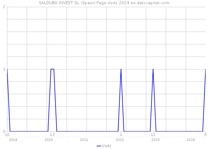 SALDUBA INVEST SL. (Spain) Page visits 2024 