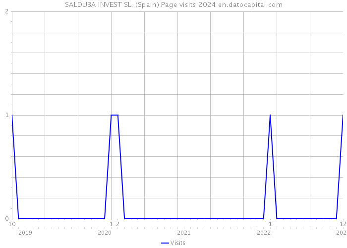 SALDUBA INVEST SL. (Spain) Page visits 2024 