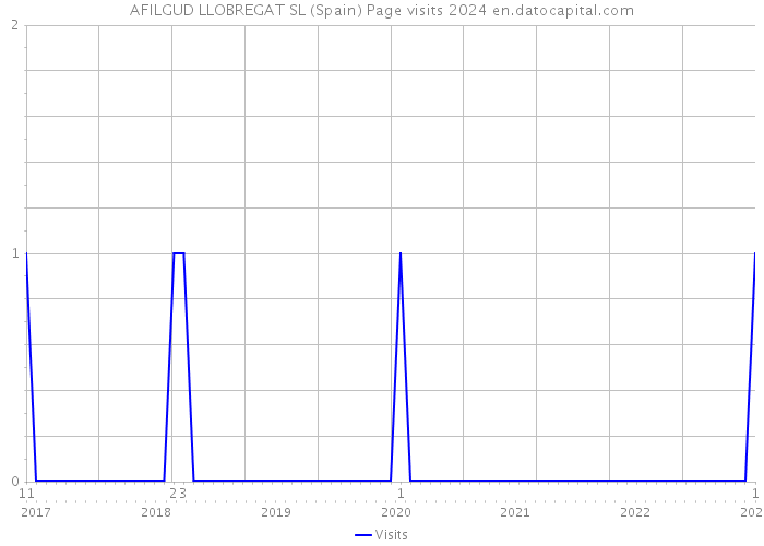 AFILGUD LLOBREGAT SL (Spain) Page visits 2024 