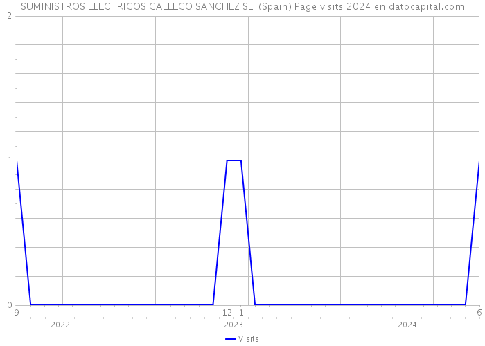 SUMINISTROS ELECTRICOS GALLEGO SANCHEZ SL. (Spain) Page visits 2024 