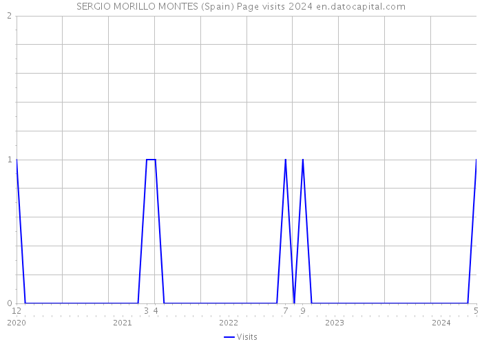 SERGIO MORILLO MONTES (Spain) Page visits 2024 