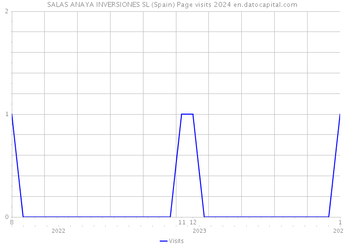 SALAS ANAYA INVERSIONES SL (Spain) Page visits 2024 
