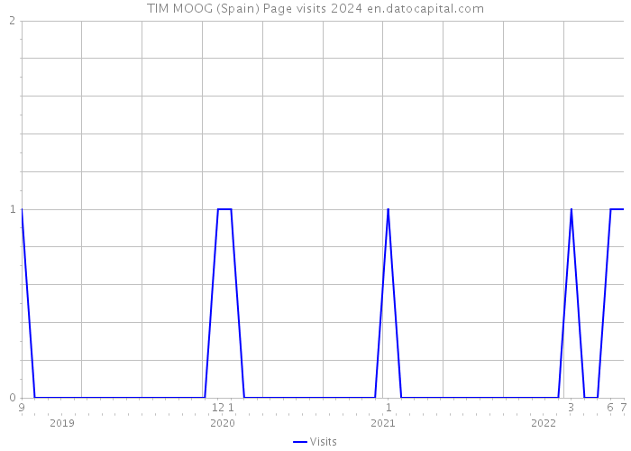 TIM MOOG (Spain) Page visits 2024 