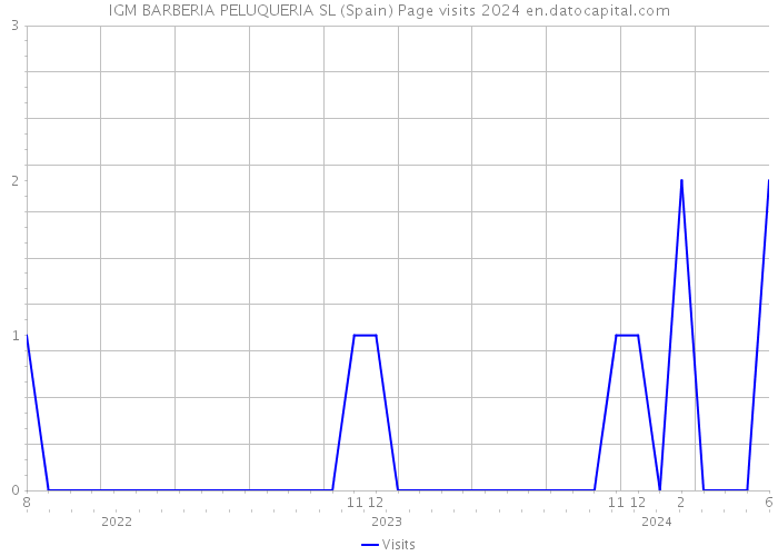 IGM BARBERIA PELUQUERIA SL (Spain) Page visits 2024 