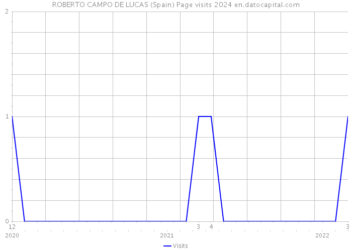 ROBERTO CAMPO DE LUCAS (Spain) Page visits 2024 