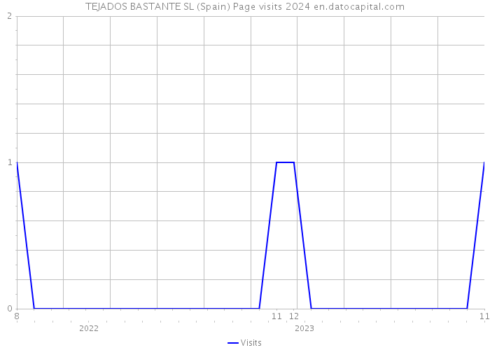 TEJADOS BASTANTE SL (Spain) Page visits 2024 