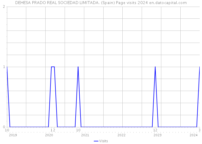DEHESA PRADO REAL SOCIEDAD LIMITADA. (Spain) Page visits 2024 