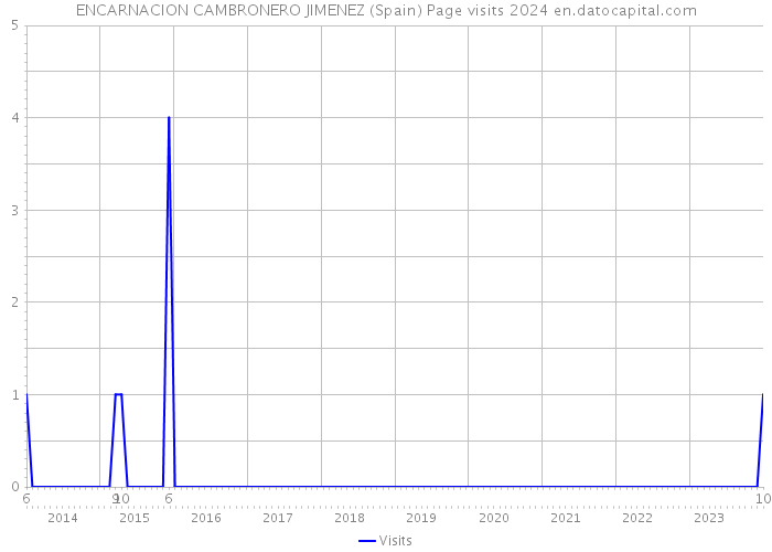 ENCARNACION CAMBRONERO JIMENEZ (Spain) Page visits 2024 
