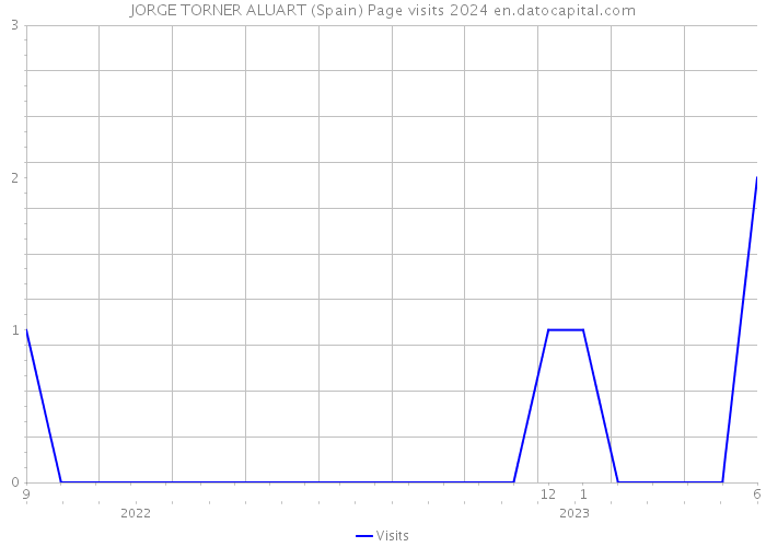 JORGE TORNER ALUART (Spain) Page visits 2024 