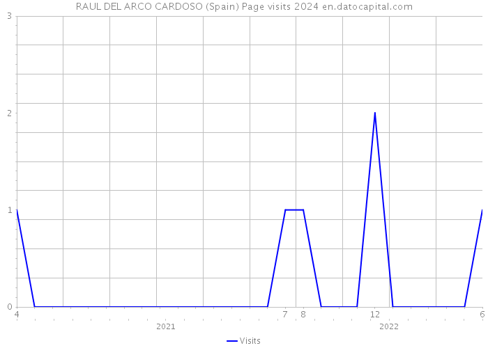 RAUL DEL ARCO CARDOSO (Spain) Page visits 2024 