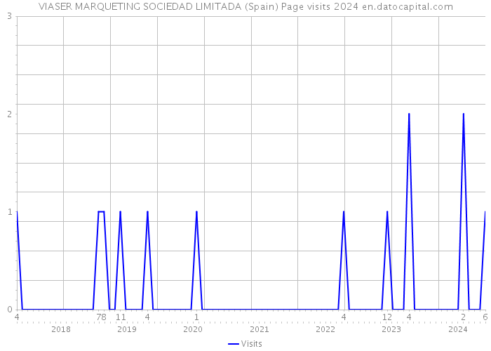 VIASER MARQUETING SOCIEDAD LIMITADA (Spain) Page visits 2024 