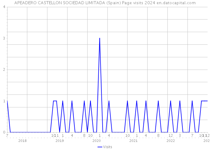 APEADERO CASTELLON SOCIEDAD LIMITADA (Spain) Page visits 2024 