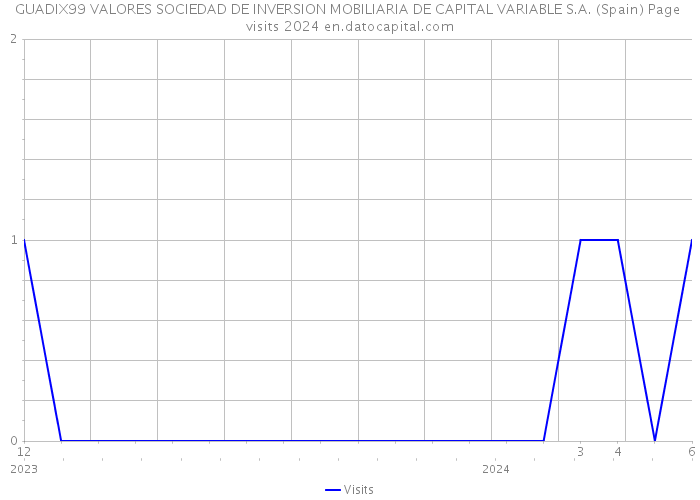 GUADIX99 VALORES SOCIEDAD DE INVERSION MOBILIARIA DE CAPITAL VARIABLE S.A. (Spain) Page visits 2024 