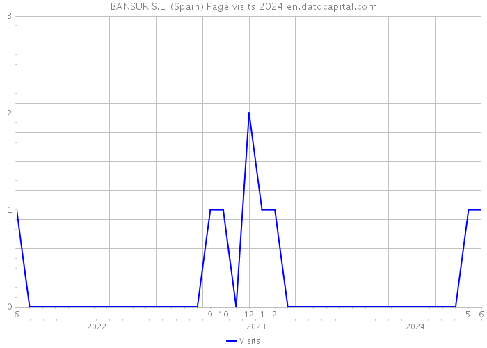 BANSUR S.L. (Spain) Page visits 2024 